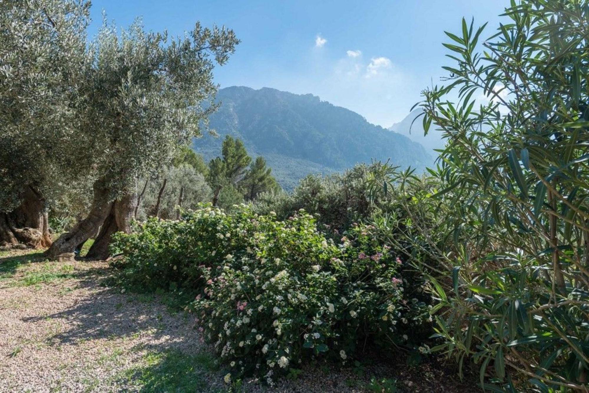 Casita De Montana Cerca Del Mar Pension Fornalutx Buitenkant foto